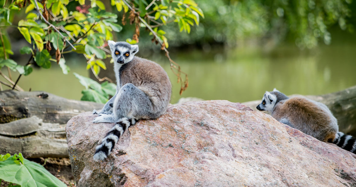parc autour de grenoble